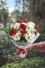 Kırmızı Gerbera ve Beyaz Papatya Buketi