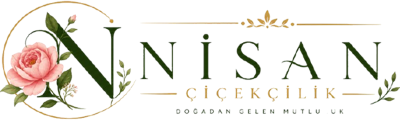 Aydın Çicek Merkezi – Aydın Çicekçi